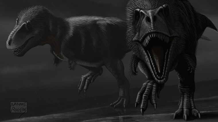 Динозавры картинки