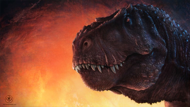 Минимализм животные