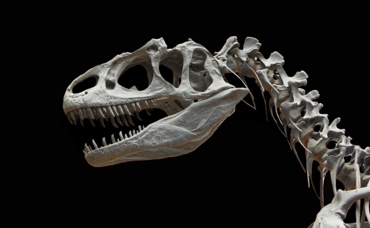 Динозавры арты Минимализм