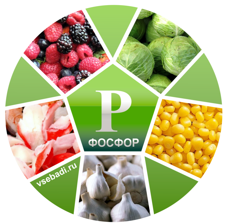 Минеральные вещества в продуктах питания