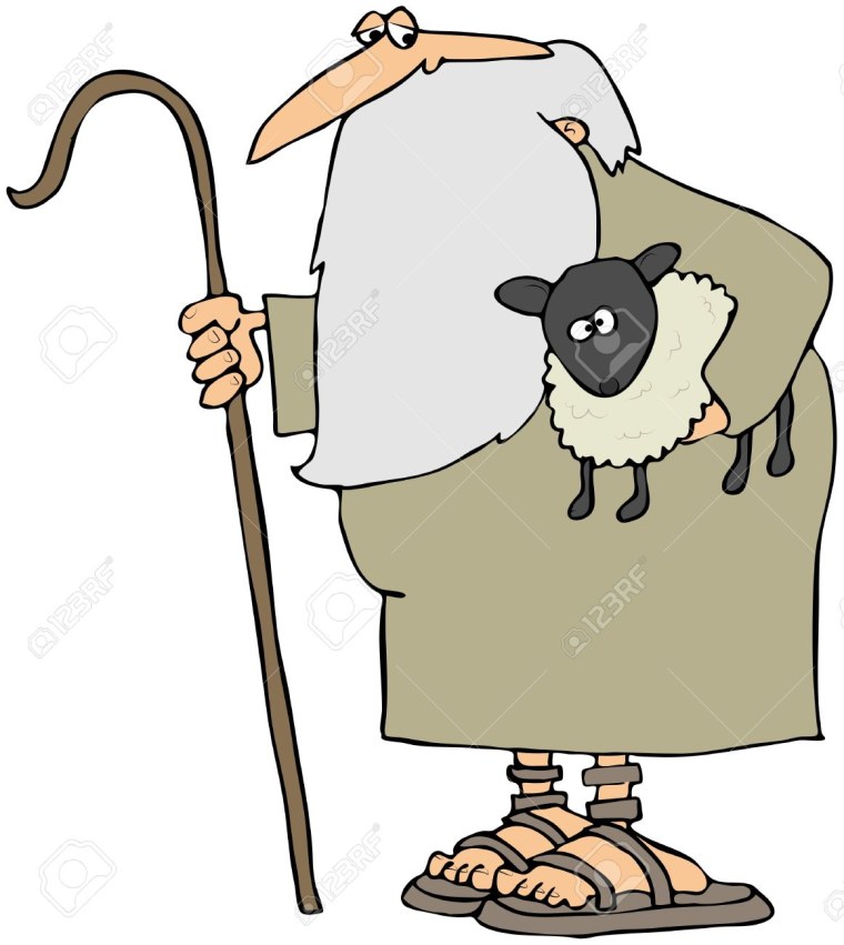 Собака загоняет овечку в загон