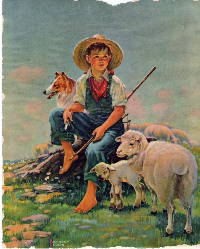 Мальчик Пастушок