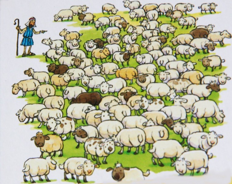 Пастух и овцы Кавказ