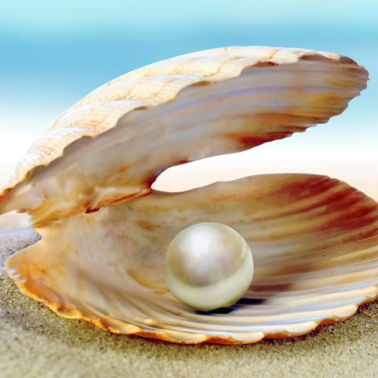 Раковина жемчужницы