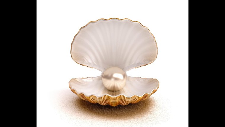 Жемчужина в раковине