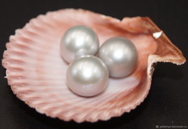 Жемчуг Бурмицкий раковина