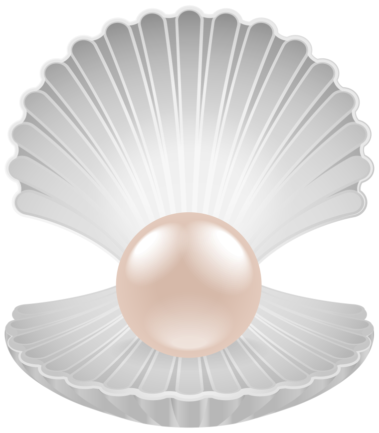Жемчужина в раковине вектор