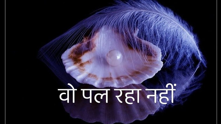 Красивая Жемчужина