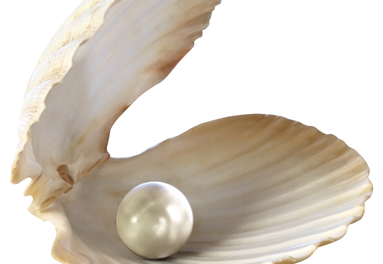 Устрица с жемчужиной