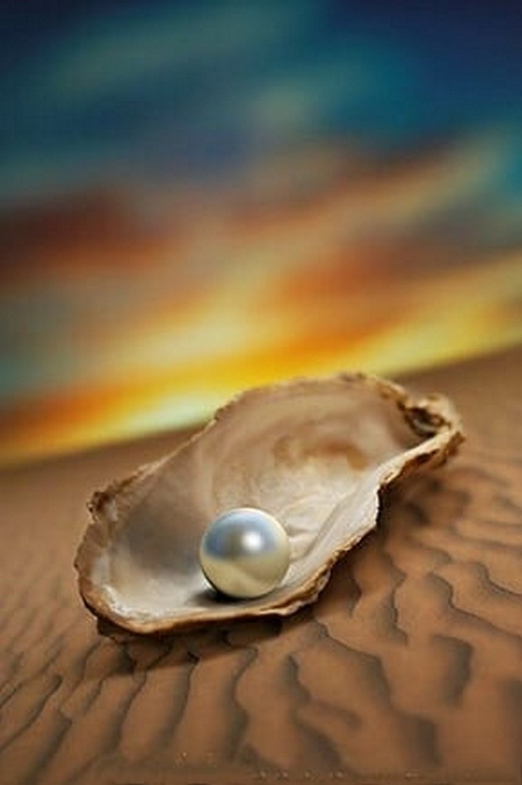 Раковина Жемчужница морская