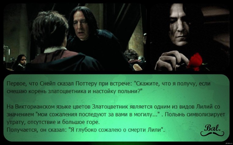 Северус Снегг первая встреча с Гарри