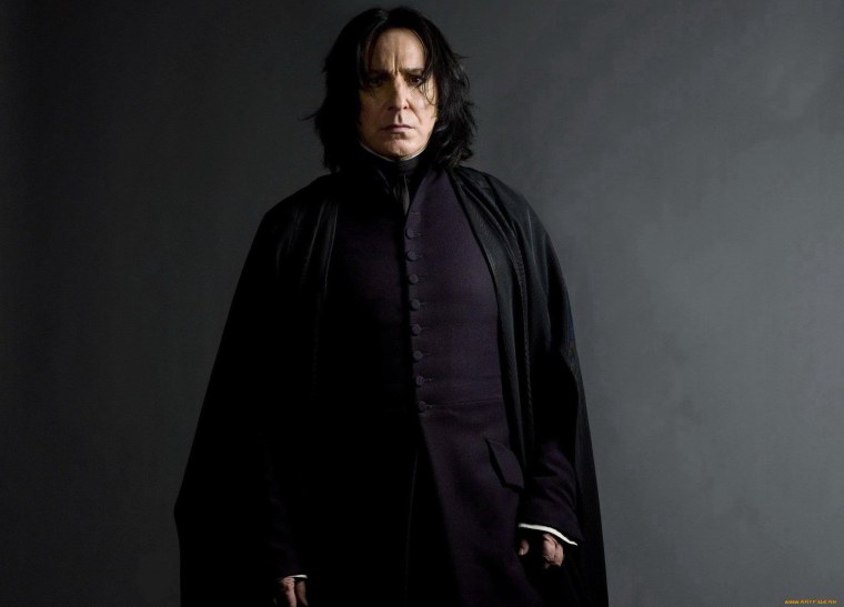 Профессор Северус Снегг