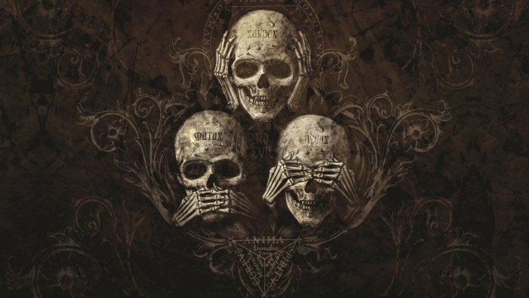 Череп на темном фоне