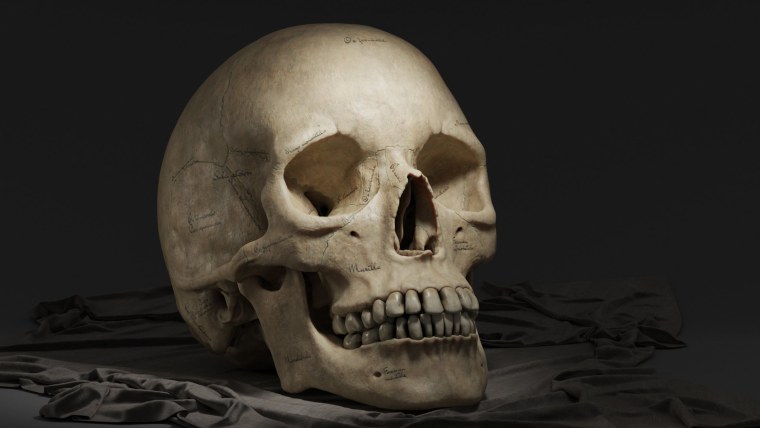 Череп карателя