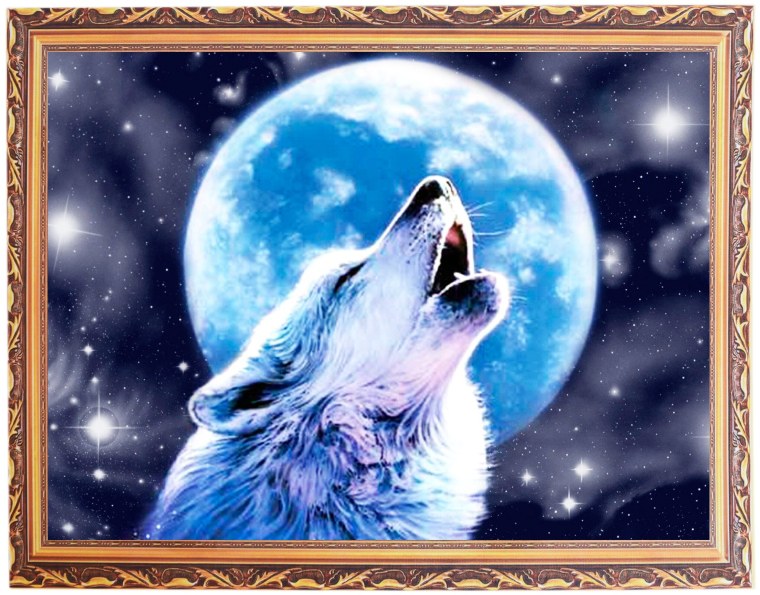 Волк и Луна