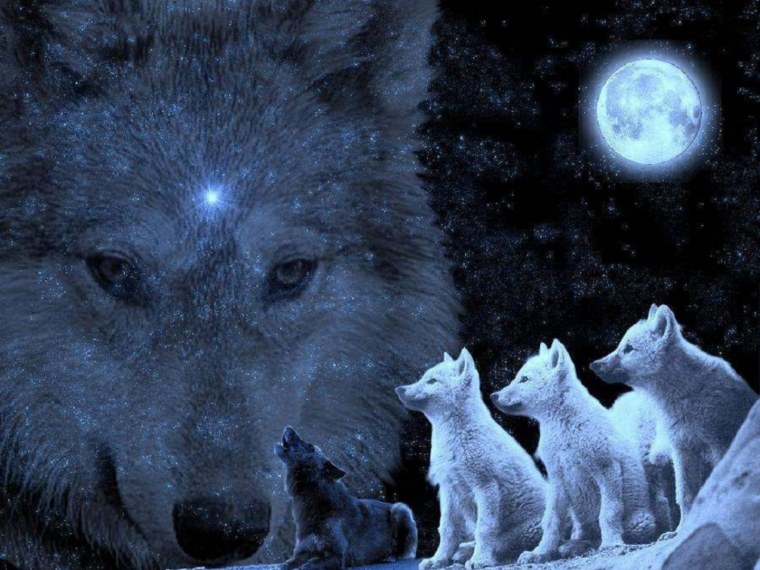Стая Волков Луна