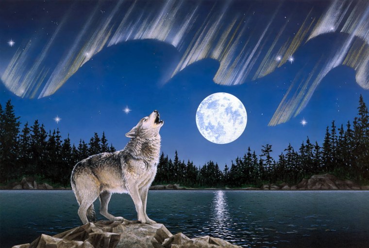 Jonas Jödicke волк