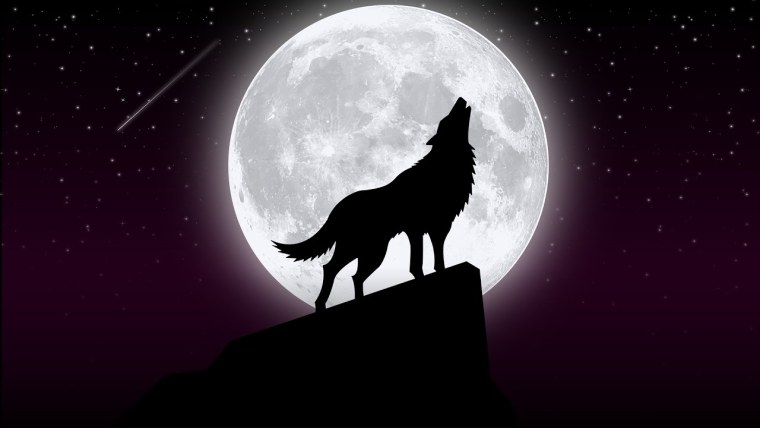 Алмазная мозаика "волк"