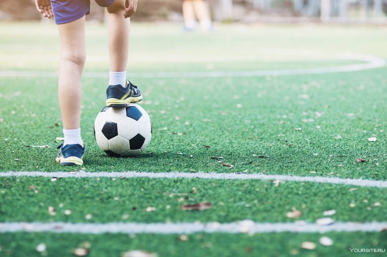 Футбольное поле вид сверху