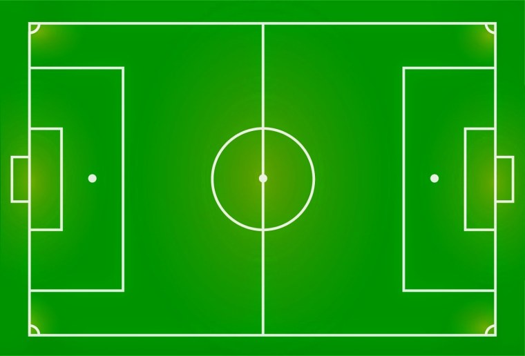 Спортивный газон на участке