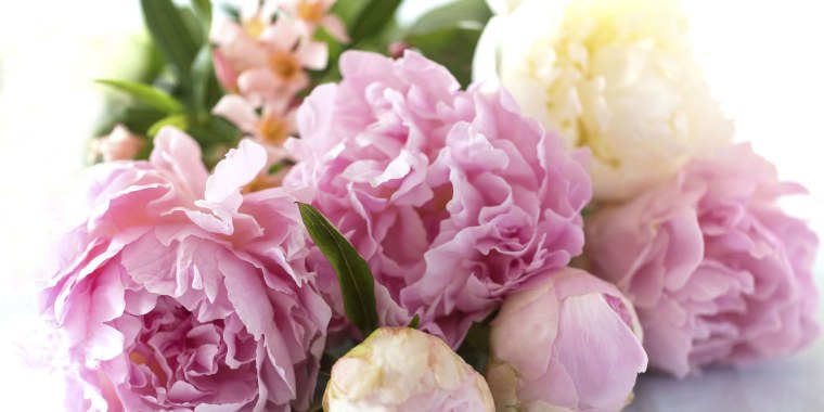 Пионы Рохлиных