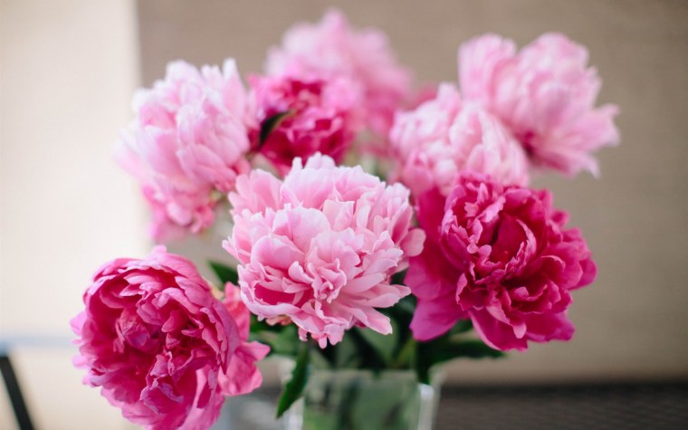 ЛФ майские пионы