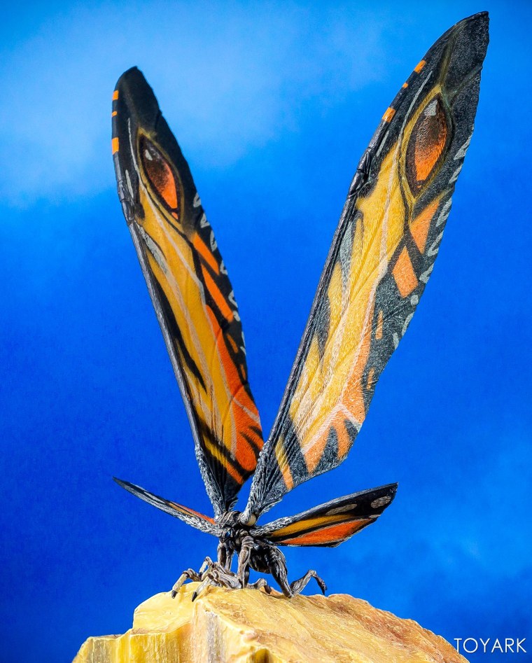 Бабочка Мотра