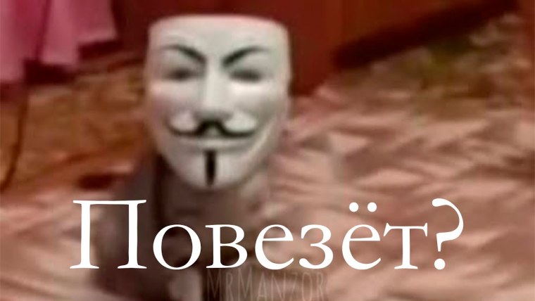 Кошка анонимус