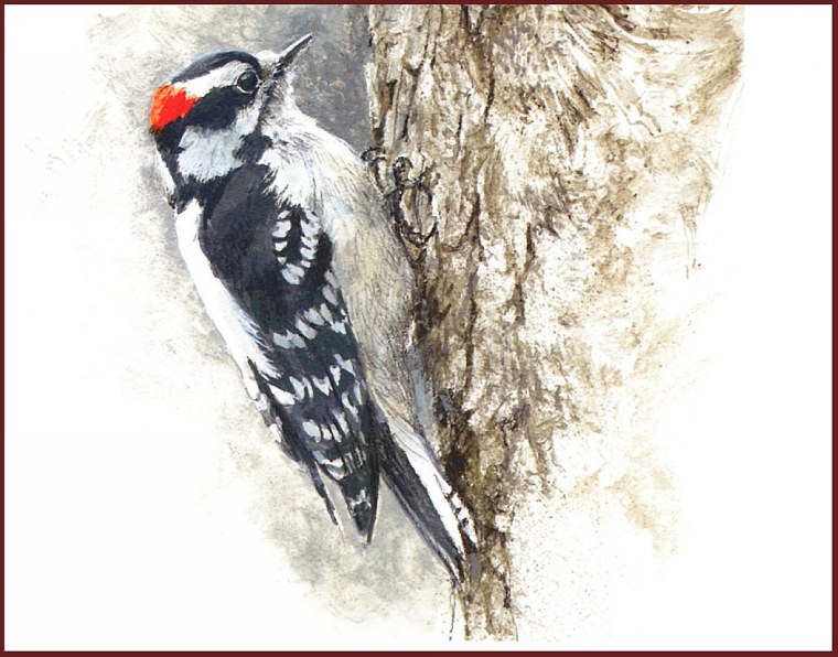 Дятел для фотошопа