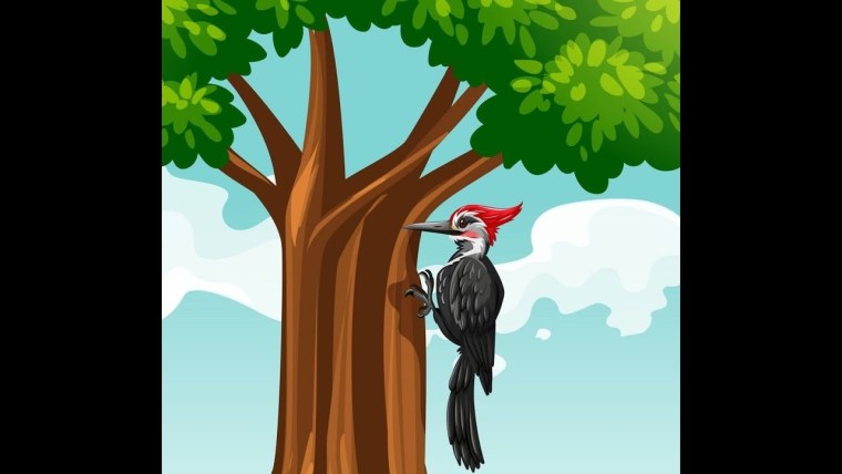 Дятел отрисовки