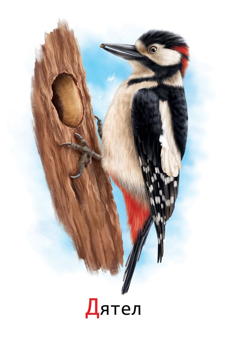 Дятел мультяшный