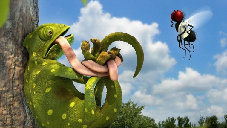 Фотообои прикольные