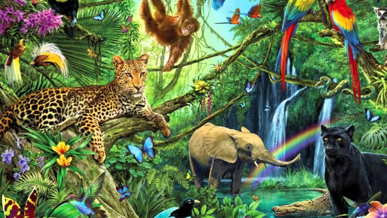 Природа джунгли