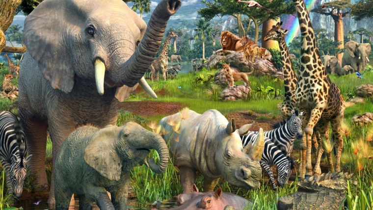 Круиз по джунглям тигр