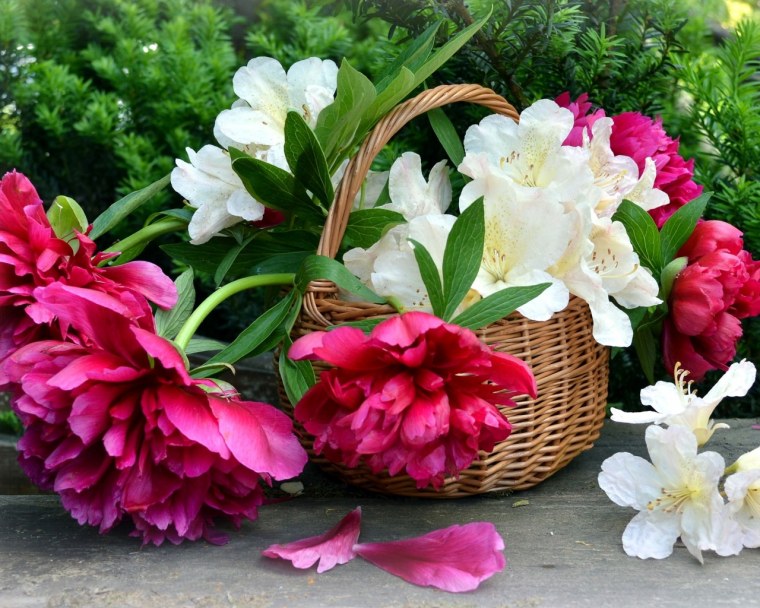 Корзина с цветами