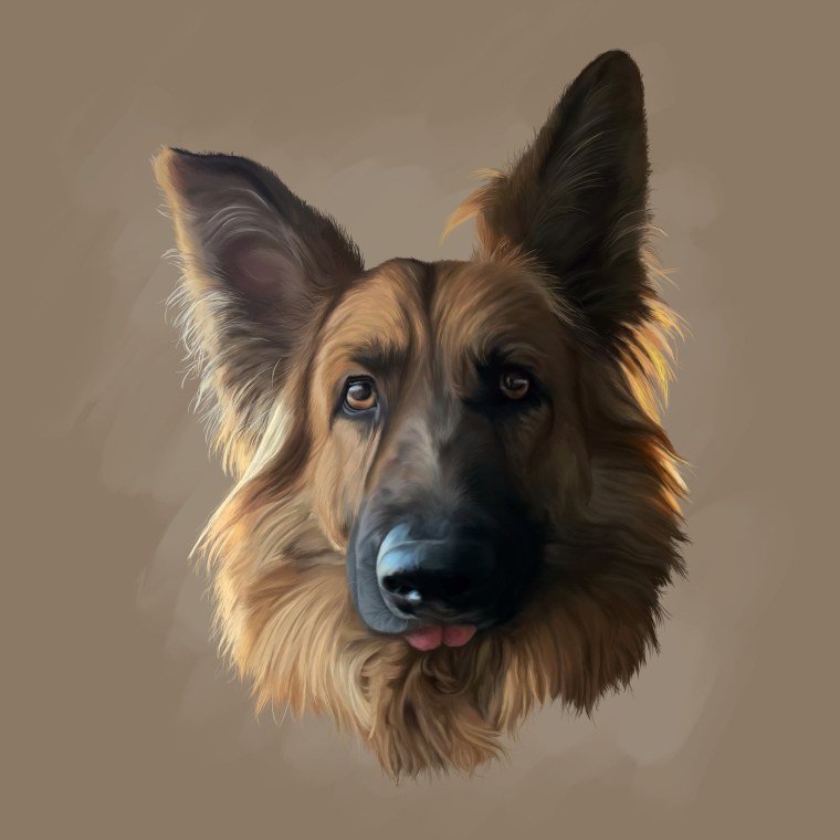 Немецкая овчарка Мухтар арт