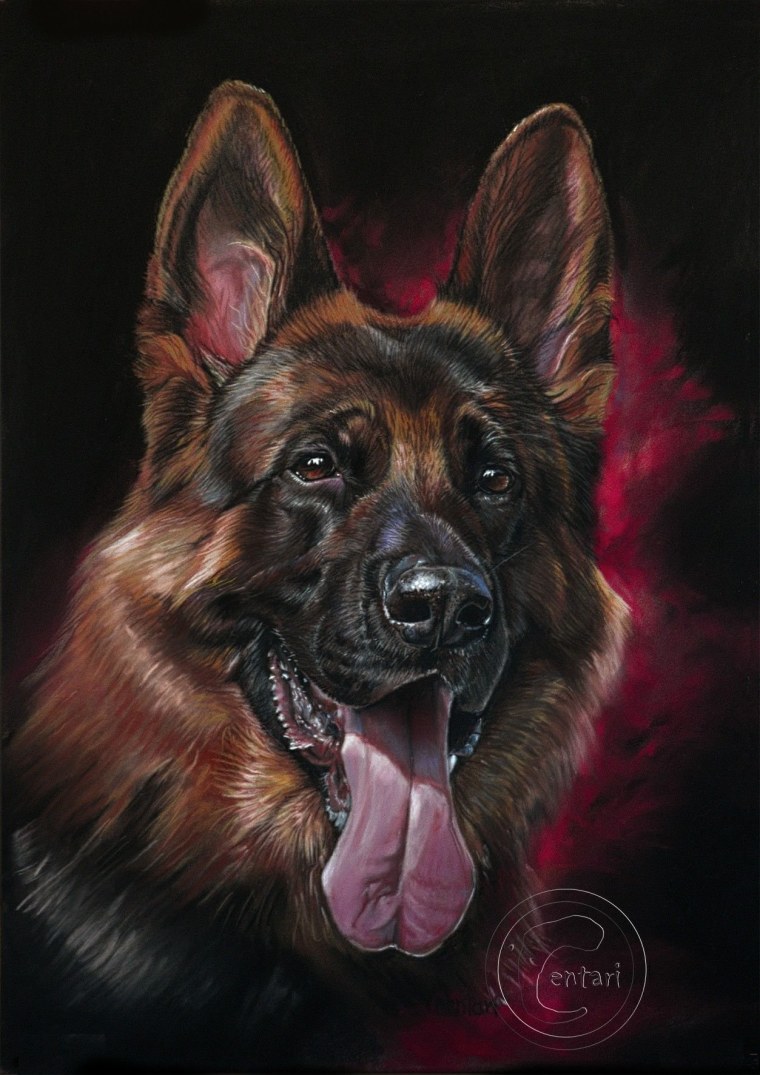 Чёрная немецкая овчарка арт