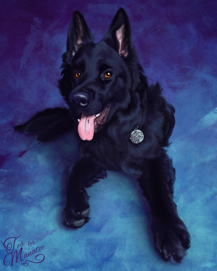 Сириус Блэк собака арт