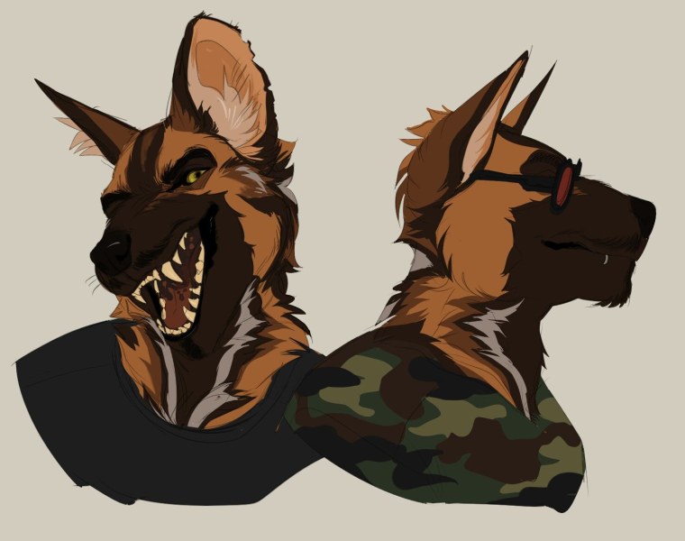 Фурсьют малинуа