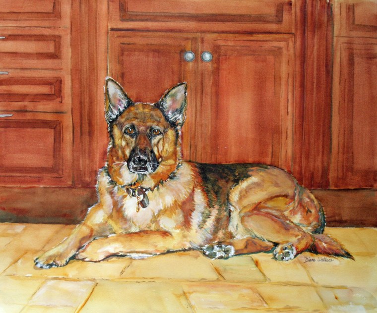 Художник Екатерина Желтова немецкая овчарка пастелью