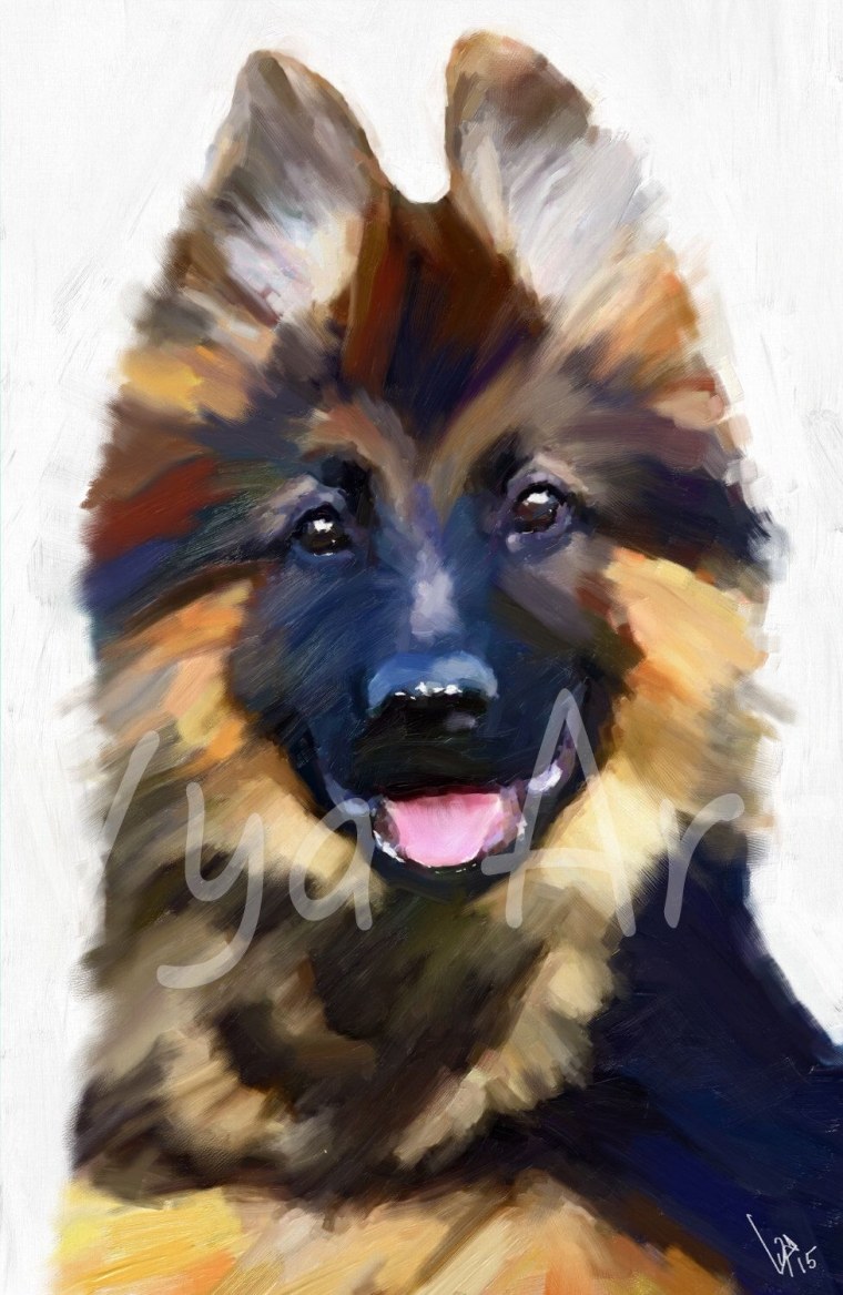 Щенок немецкой овчарки арт