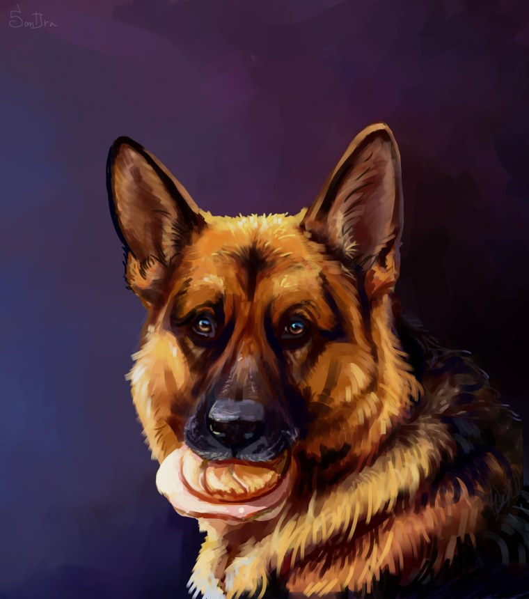 Портрет немецкой овчарки