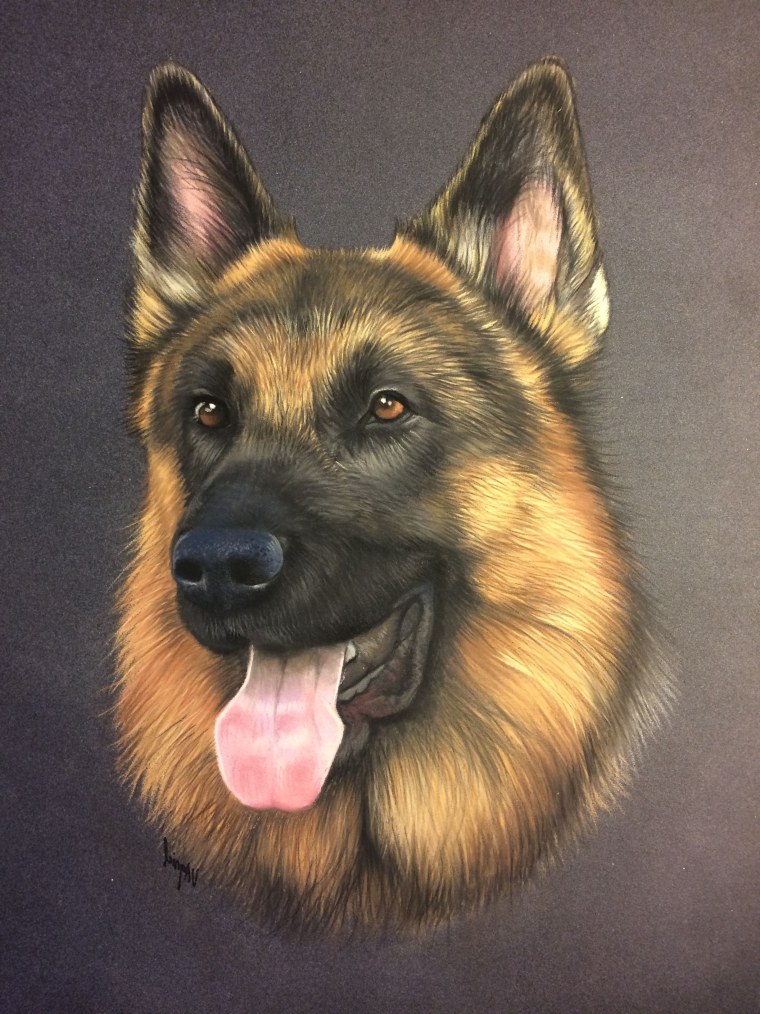 Восточно-европейская овчарка Мухтар