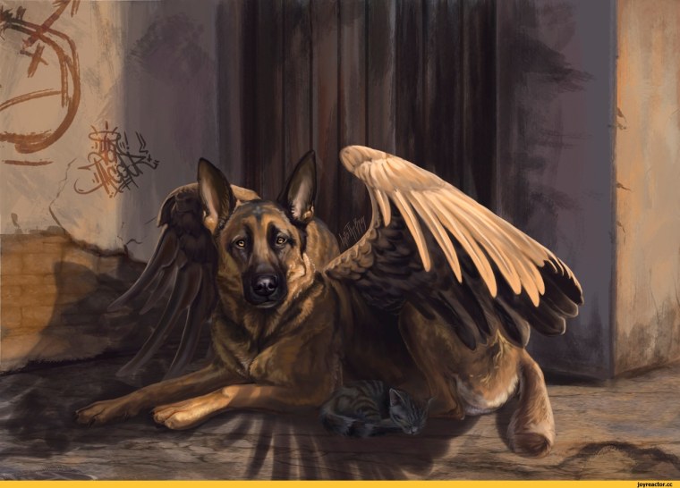 Щенок с крыльями