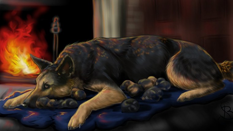 Аниме собаки