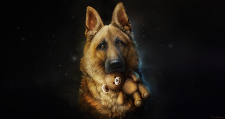 Алмазная мозаика немецкая овчарка