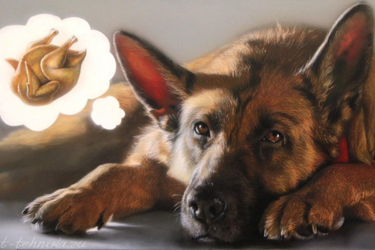 Немецкая овчарка арт