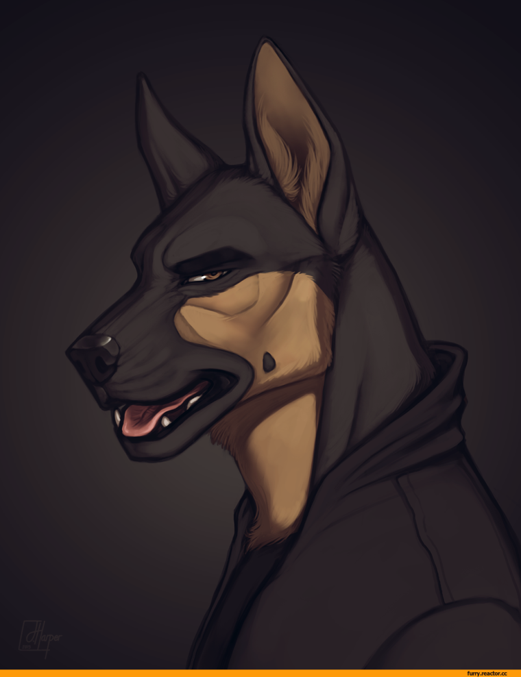 Фурри собаки Доберманы