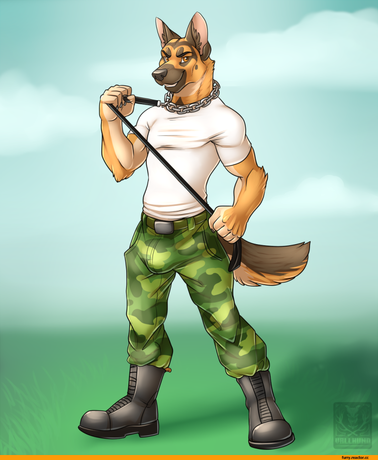 Немецкая овчарка Антро