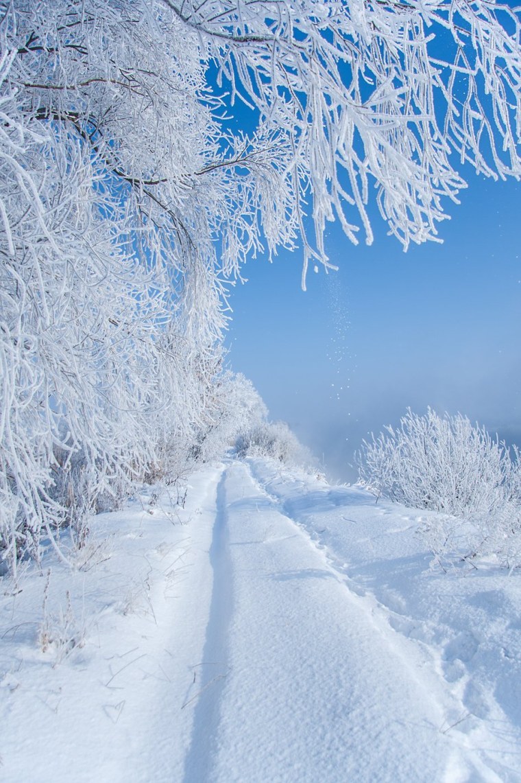 Зимний пейзаж вертикальный